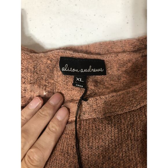 Alison Andrews Womens Sweater Size XL Pink New Long Sleeve Pullover - Picture 5 of 12
